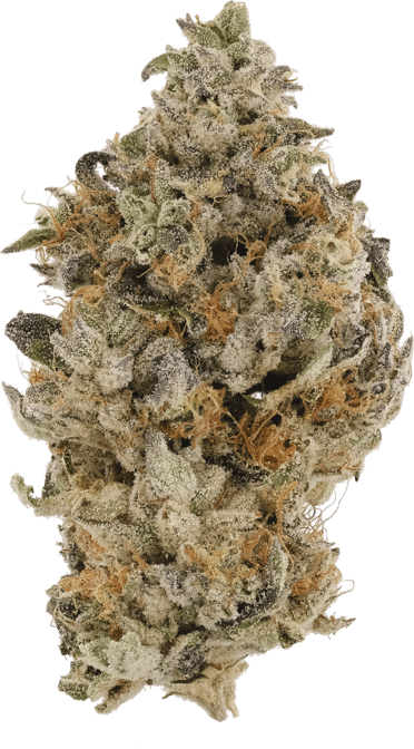 Berry a la Mode image 1